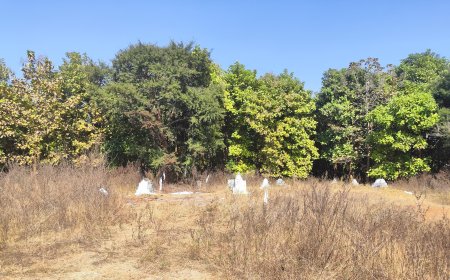 ଶ୍ମଶାନ ଘାଟ ବିହୀନ ଗ୍ରାମ ପ୍ରଶାସନର ଅବହେଳାରେ ଲୋକଙ୍କ ଦୁର୍ଦଶା