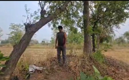 ନିମ୍ବ ଗଛରେ ଯୁବକଙ୍କ ଝୁଲନ୍ତା ମୃତ ଦେହ,ହତ୍ୟା ନା ଆତ୍ମହତ୍ୟା ପୋଲିସ୍ ର ତଦନ୍ତ ଜାରି