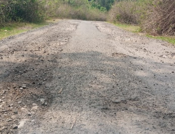 କେବେ ହେବ ମରାମତି ମରଣଯନ୍ତା ପାଲିଟିଛି ଧୂସାରିଗାଁ ଛକ ଠାରୁ ମାର୍ଦ୍ଦିଫଙ୍କା ରାସ୍ତା