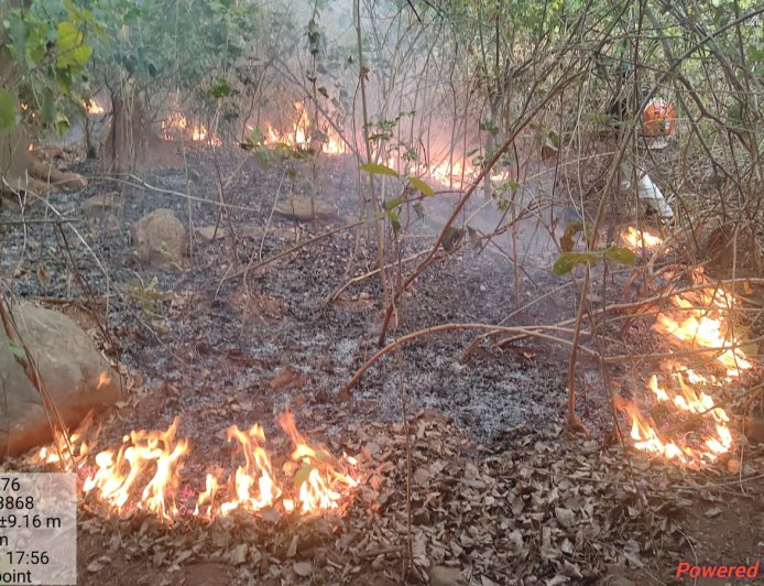 ପଞ୍ଜଲ ଜଙ୍ଗଲ ରେ ଲାଗିଲା ନିଆଁ   ଗ୍ରାମ ବାସିଙ୍କ ସହ ମିଶି ବନ ବିଭାଗ ର ମିଳିତ ଉଦ୍ୟମ ରେ ନିଆଁ ଆୟତ