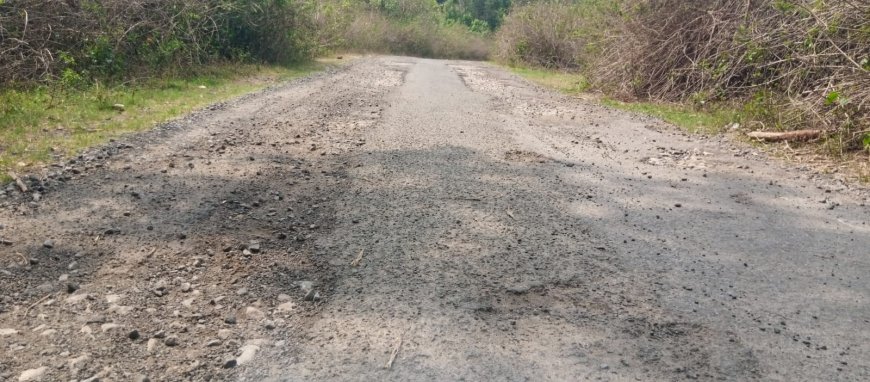 କେବେ ହେବ ମରାମତି ମରଣଯନ୍ତା ପାଲିଟିଛି ଧୂସାରିଗାଁ ଛକ ଠାରୁ ମାର୍ଦ୍ଦିଫଙ୍କା ରାସ୍ତା