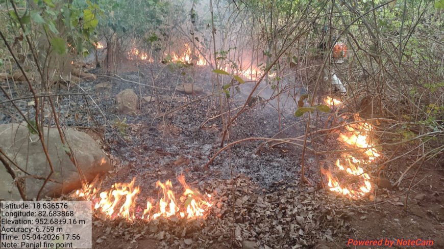 ପଞ୍ଜଲ ଜଙ୍ଗଲ ରେ ଲାଗିଲା ନିଆଁ   ଗ୍ରାମ ବାସିଙ୍କ ସହ ମିଶି ବନ ବିଭାଗ ର ମିଳିତ ଉଦ୍ୟମ ରେ ନିଆଁ ଆୟତ