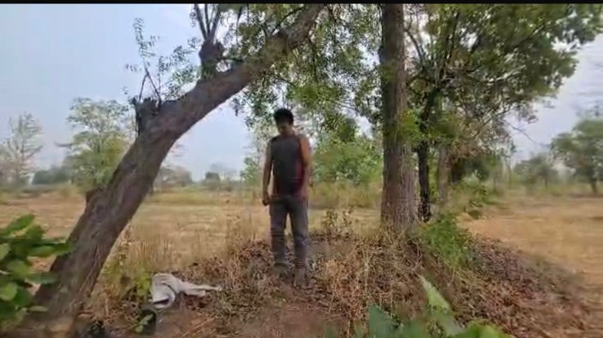 ନିମ୍ବ ଗଛରେ ଯୁବକଙ୍କ ଝୁଲନ୍ତା ମୃତ ଦେହ,ହତ୍ୟା ନା ଆତ୍ମହତ୍ୟା ପୋଲିସ୍ ର ତଦନ୍ତ ଜାରି