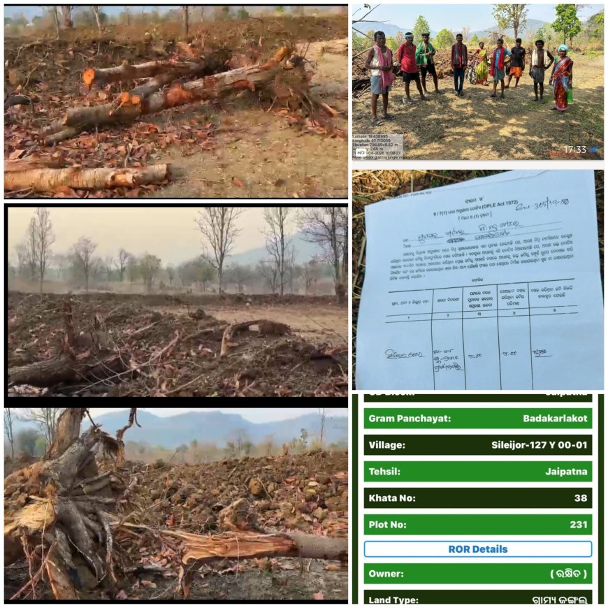 ସ୍ଥାନୀୟ ST ଏବଂ SC ବର୍ଗର ଲୋକେ ଏଯାଏଁ ପାଇ ପାରୁନାହାନ୍ତି ଜମି ପଟ୍ଟା କିନ୍ତୁ ଅନ୍ୟ ଗ୍ରାମର OBC ବର୍ଗ ର ଧନୀ ଲୋକଙ୍କୁ ଦିଆଯାଉଛି ଜଙ୍ଗଲ ଜମି ଲିଜ