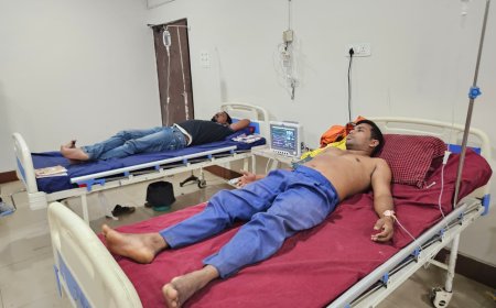 ମହୁମାଛି ଆକ୍ରମଣରେ ବଜାରଖାଲି ଦୁଇ ଗୁରୁତର ଅନେକ ଆହତ