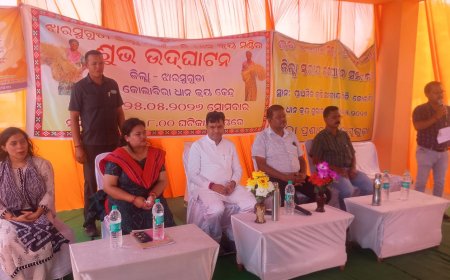 କୋଲାବିରାରେ ଜିଲ୍ଲାସ୍ତରୀୟ ଧାନକ୍ରୟ ଶୁଭାରମ୍ଭ ଉତ୍ସବ,              ଚାଷୀଙ୍କୁ ରବି ଓ ଖରିଫରେ ଫସଲର ଉଚିତ୍ ମୂଲ୍ୟ ଦେବାକୁ ବିଜେପି ସରକାର ସଂକଳ୍ପବଦ୍ଧ : ବିଧାୟକ