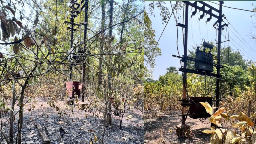 ବୁଚାମୁଣ୍ଡା ଗ୍ରାମ୍ୟ ଜଙ୍ଗଳ ଓ ସିରିଆପାଲି ବଡଖଳିଆ ସଂରକ୍ଷିତ ଜଙ୍ଗଳ ନିଆଁରେ ପୋଡି ଛାରଖାର ,  ଜଙ୍ଗଳ ଭିତରେ ନିଆଁ ଲାଗି ବିଦ୍ୟୁତ୍ କେବୁଲ  ପୋଡିଲା, ୨୪ ଘଣ୍ଟା ଧରି ବିଦ୍ୟୁତ୍ ବ୍ୟାଘାତ,
