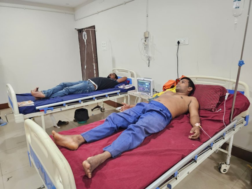 ମହୁମାଛି ଆକ୍ରମଣରେ ବଜାରଖାଲି ଦୁଇ ଗୁରୁତର ଅନେକ ଆହତ