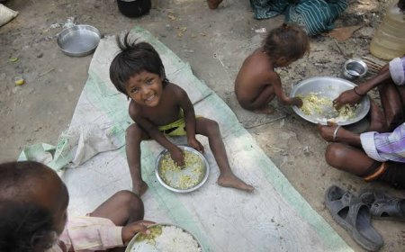 The poor cry for bread, while government wheat and all schemes and facilities have today become nothing more than a dream for the poor.