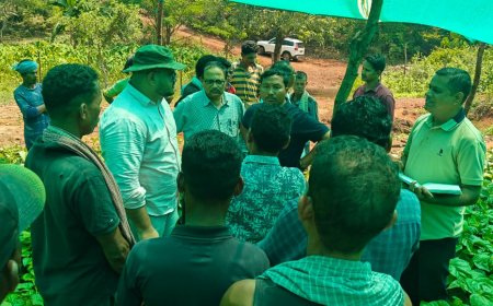 ସ୍ୱାଭିମାନ ଅଞ୍ଚଳରେ ଜାଫ୍ରା ନର୍ସରୀ ପରିଦର୍ଶନ କଲେ ଜିଲ୍ଲାପାଳ