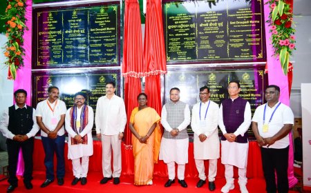 ଜନ୍ମମାଟିରେ ମହାମହିମ: ଦୁଇ ଦିନିଆ ଓଡ଼ିଶା ଗସ୍ତରେ ରାଇରଙ୍ଗପୁରରେ ପହଞ୍ଚିଲେ ରାଷ୍ଟ୍ରପତି ଦ୍ରୌପଦୀ ମୁର୍ମୁ