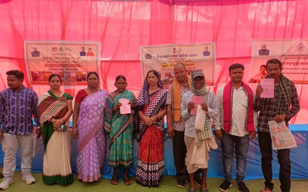 ପଞ୍ଚାୟତସ୍ତରୀୟ ବିକାଶଧାରା କାର୍ଯ୍ୟକ୍ରମ