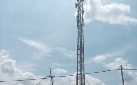 କୋଟଗଡ଼ ରେ ଥିବା BSNL ଟାୱାର ଉପରେ ସରକାରଙ୍କ ଦୃଷ୍ଟି ପଡ଼ିବ କେବେ ମୃତ ଅବସ୍ତାରେ ପଡ଼ି ରହିଛି ଟାୱାର I