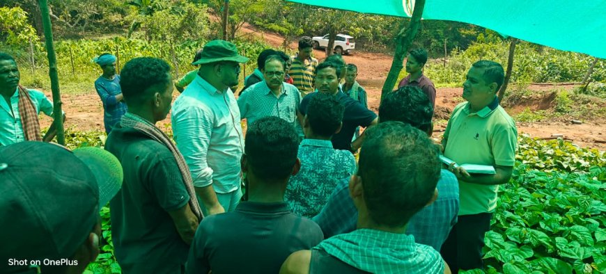 ସ୍ୱାଭିମାନ ଅଞ୍ଚଳରେ ଜାଫ୍ରା ନର୍ସରୀ ପରିଦର୍ଶନ କଲେ ଜିଲ୍ଲାପାଳ