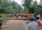 ଲଘୁଚାପ ଜନିତ ବର୍ଷାରେ: ଗଛ ପଡି ରାସ୍ତା ଅବରୋଧ