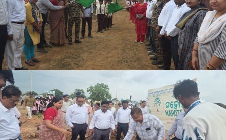 ଆଇନ ସେବା ପ୍ରାଧିକରଣ ତରଫରୁ ବନ ମହୋତ୍ସବ ସପ୍ତାହ ପାଳନ
