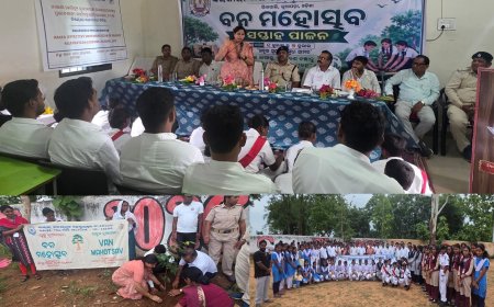 ବନ ମହୋତ୍ସବ ସପ୍ତାହ ପାଳନ ଅବସରରେ ବୃକ୍ଷରୋପଣ