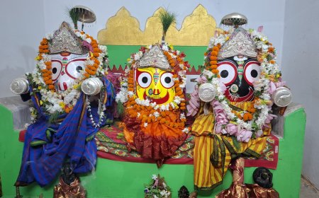 କୋଲାବିରା ରେ ପବିତ୍ର ଘୋଷଯାତ୍ରା