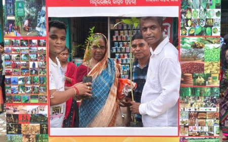 ଶିମିଳିପାଳର ସଂମ୍ପୂର୍ଣ୍ଣ ସୁରକ୍ଷା,ଦାଦନ ସମସ୍ୟା,ବେରୋଜଗାର ରୋଜଗାରକ୍ଷମ କରିବା ନେଇ ଜନସାଧାରଣ ମାନଙ୍କୁ ସଚେତନତା