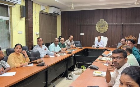 ନୂଆପଡ଼ାରେ ପ୍ରାଣୀ ସମ୍ପଦ ବିଭାଗର ମାସିକ ସମୀକ୍ଷା ଅନୁଷ୍ଠିତ