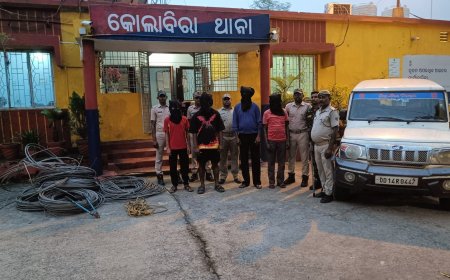 ପୁଲିସ ହାବୁଡ଼ରେ ବିଦ୍ୟୁତ ତାର ଚୋର ଗ୍ୟାଙ୍ଗ ; ୪ ଗିରଫ, ସାମଗ୍ରୀ ଜବତ୍