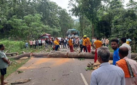 ଲଘୁଚାପ ଜନିତ ବର୍ଷାରେ: ଗଛ ପଡି ରାସ୍ତା ଅବରୋଧ
