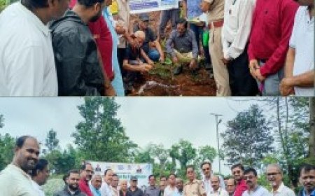 ଫୁଲବାଣୀ ରୋଟାରୀ କ୍ଲବ ପକ୍ଷରୁ ମେଗା ବୃକ୍ଷରୋପଣ, ପରିବେଶ ସୁରକ୍ଷାର ବାର୍ତ୍ତା