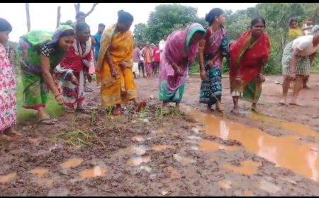 ଅଭିଯୋଗ ଶୁଣିଲେ ନାହିଁ ପ୍ରଶାସନ,ମାଟି କାଦୁଅ ରାସ୍ତାରେ ଲଗାଇଲେ ଧାନ ତଳି କପୂଗୁଡ଼ା ଗ୍ରାମବାସୀ