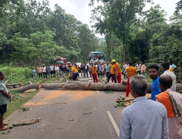 ଲଘୁଚାପ ଜନିତ ବର୍ଷାରେ: ଗଛ ପଡି ରାସ୍ତା ଅବରୋଧ