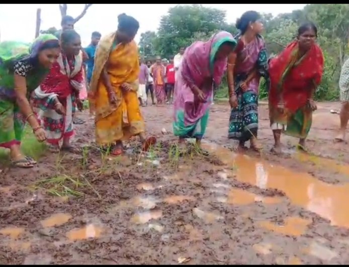 ଅଭିଯୋଗ ଶୁଣିଲେ ନାହିଁ ପ୍ରଶାସନ,ମାଟି କାଦୁଅ ରାସ୍ତାରେ ଲଗାଇଲେ ଧାନ ତଳି କପୂଗୁଡ଼ା ଗ୍ରାମବାସୀ