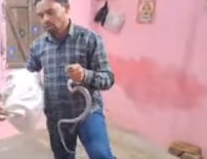 ଶିକ୍ଷକଙ୍କ ବାସସ୍ଥାନରେ ପଶିଲା ନାଗସାପ, ସାହସିକତାର ସହ ଉଦ୍ଧାର କଲେ ସ୍ଥାନୀୟ ଯୁବକ