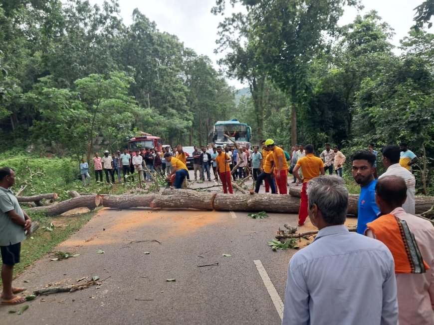 ଲଘୁଚାପ ଜନିତ ବର୍ଷାରେ: ଗଛ ପଡି ରାସ୍ତା ଅବରୋଧ