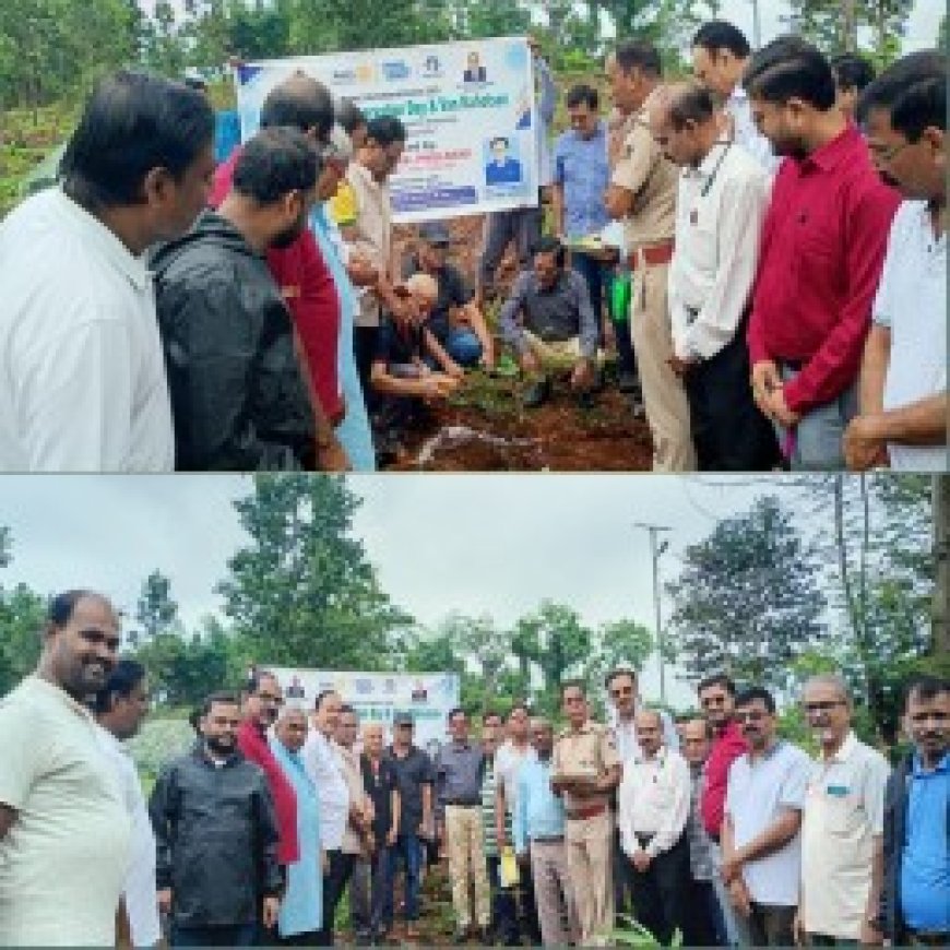 ଫୁଲବାଣୀ ରୋଟାରୀ କ୍ଲବ ପକ୍ଷରୁ ମେଗା ବୃକ୍ଷରୋପଣ, ପରିବେଶ ସୁରକ୍ଷାର ବାର୍ତ୍ତା