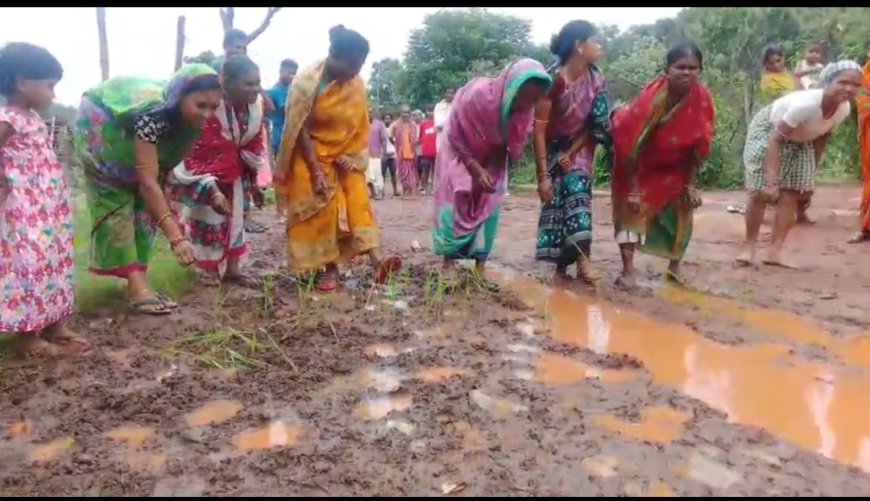 ଅଭିଯୋଗ ଶୁଣିଲେ ନାହିଁ ପ୍ରଶାସନ,ମାଟି କାଦୁଅ ରାସ୍ତାରେ ଲଗାଇଲେ ଧାନ ତଳି କପୂଗୁଡ଼ା ଗ୍ରାମବାସୀ