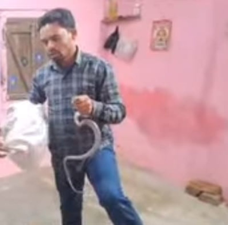 ଶିକ୍ଷକଙ୍କ ବାସସ୍ଥାନରେ ପଶିଲା ନାଗସାପ, ସାହସିକତାର ସହ ଉଦ୍ଧାର କଲେ ସ୍ଥାନୀୟ ଯୁବକ