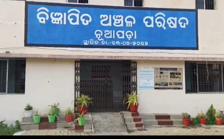 ନୂଆପଡ଼ା ଏନ୍‌ଏସିକୁ ‘ବେଷ୍ଟ ପରଫର୍ମିଂ ୟୁଏଲ୍‌ବି’ ପୁରସ୍କାର:ସ୍ୱାୟତ୍ତ ଶାସନ ଦିବସରେ ମୁଖ୍ୟମନ୍ତ୍ରୀଙ୍କଠାରୁ ମିଳିବ ୨ କୋଟି ଟଙ୍କା ପୁରସ୍କାର
