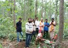 ଇନ୍ଦୋ ପର୍ବ ପାଇଁ ଜଙ୍ଗଲରୁ ଆସିଲା କାଠ ଦେବୋତ୍ତର ବିଭାଗ ପକ୍ଷରୁ ଆରମ୍ଭ ହେଲା ପ୍ରସ୍ତୁତି