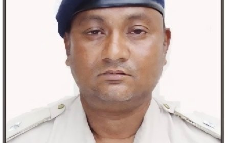ଅନୁମତି ବିନା ନୀଳଗିରି (ଇୟୁକାଲିପ୍ଟସ) ଗଛ କାଟିବା ଅଭିଯୋଗରେ ଫରେଷ୍ଟର ନିଲମ୍ବିତ