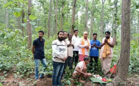 ଇନ୍ଦୋ ପର୍ବ ପାଇଁ ଜଙ୍ଗଲରୁ ଆସିଲା କାଠ ଦେବୋତ୍ତର ବିଭାଗ ପକ୍ଷରୁ ଆରମ୍ଭ ହେଲା ପ୍ରସ୍ତୁତି
