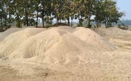 ଝାରପୋଖରିଆ ଅଞ୍ଚଳରେ ବାଲି ମାଫିଆଙ୍କ ଦୌରାତ୍ମ୍ୟ; ରାତିଅଧିଆ ଆତଙ୍କ ଓ ଜନଜୀବନ ଅସ୍ତବ୍ୟସ୍ତ