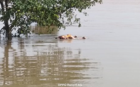 Woman’s Body Recovered from Subarnarekha River:Murder or Suicide?
