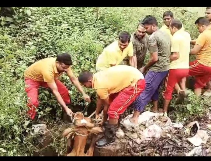 ରାୟଗଡା ଯୁବ ଶକ୍ତି ଓ ଅଗ୍ନିଶମ ବିଭାଗର ମିଳିତ ପ୍ରୟାସରେ:ଡ୍ରେନରୁ ଉଦ୍ଧାର ହେଲା ଗୋମାତା l ମାଲିକଙ୍କ ଦାୟିତ୍ୱହୀନତାକୁ ନେଇ ପ୍ରଶ୍ନ ?