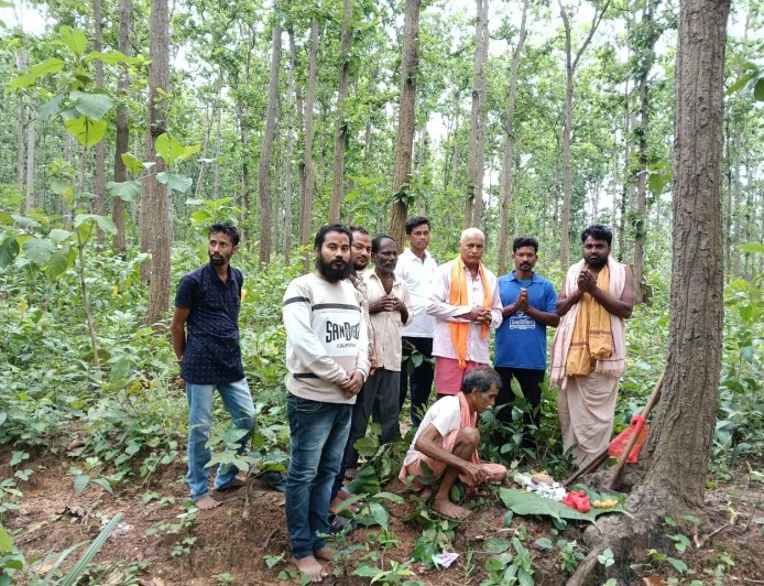ଇନ୍ଦୋ ପର୍ବ ପାଇଁ ଜଙ୍ଗଲରୁ ଆସିଲା କାଠ ଦେବୋତ୍ତର ବିଭାଗ ପକ୍ଷରୁ ଆରମ୍ଭ ହେଲା ପ୍ରସ୍ତୁତି