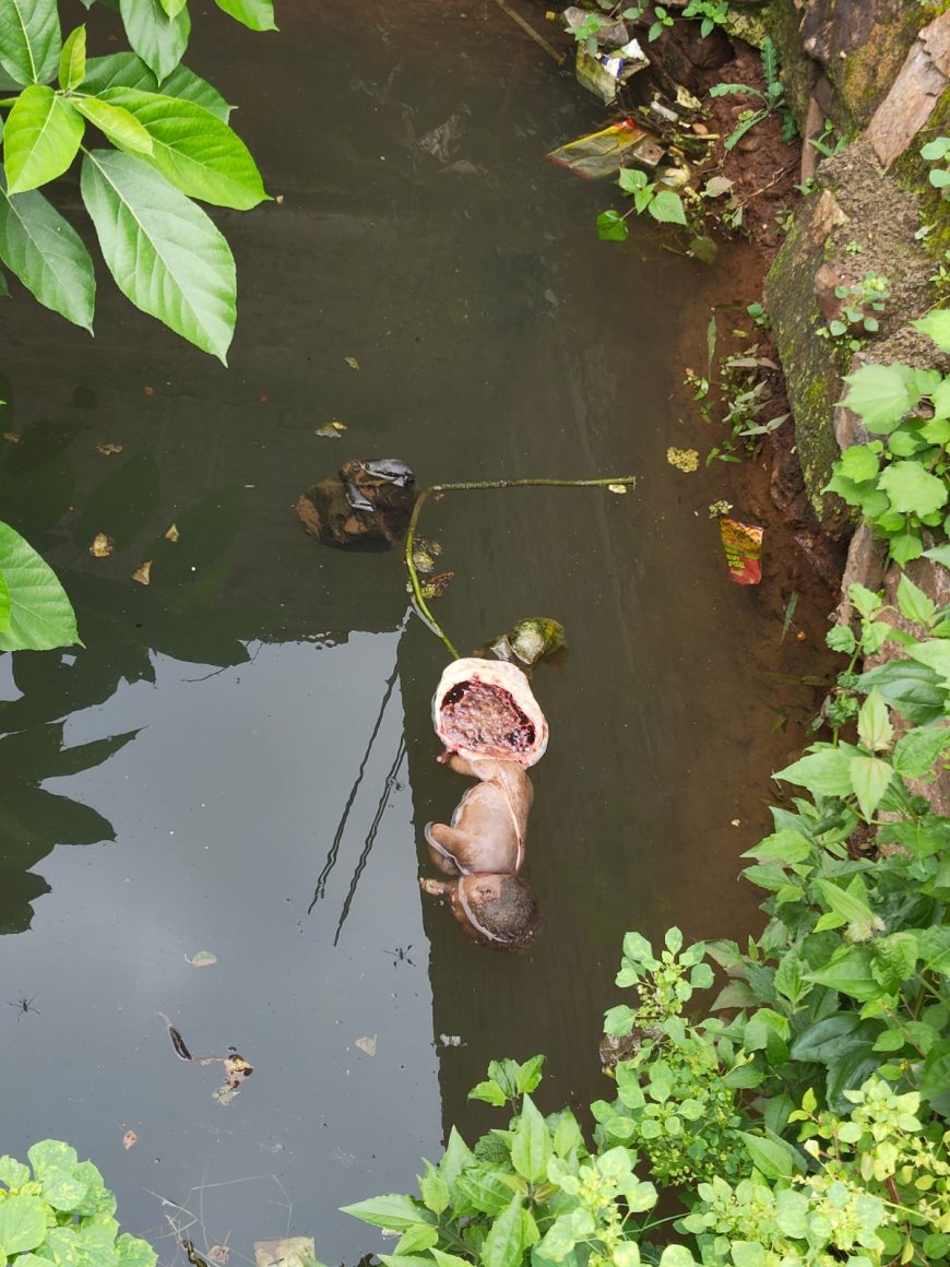 ନବଜାତ ଶିଶୁକୁ ଗର୍ତ୍ତରେ ଫିଙ୍ଗିଲେ କିଏ