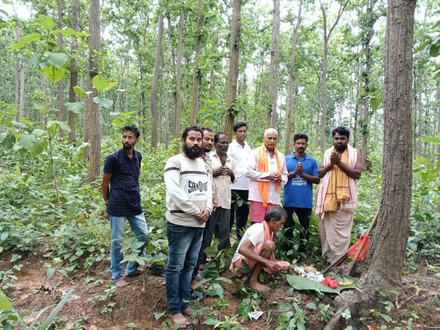 ଇନ୍ଦୋ ପର୍ବ ପାଇଁ ଜଙ୍ଗଲରୁ ଆସିଲା କାଠ ଦେବୋତ୍ତର ବିଭାଗ ପକ୍ଷରୁ ଆରମ୍ଭ ହେଲା ପ୍ରସ୍ତୁତି