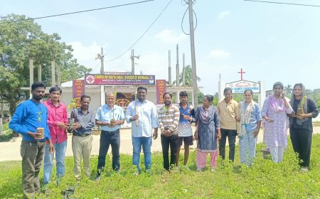 ଗାନ୍ଧୀ ଜୟନ୍ତୀ ଅବସରରେ ସାମ୍ବାଦିକମାନଙ୍କ ଦ୍ବାରା ବୃକ୍ଷ ରୋପଣ