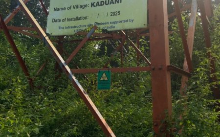 କାଦୁଆଣୀ ଅଞ୍ଚଳରେ ନେଟୱର୍କ ସମସ୍ୟା, ଗ୍ରାମବାସୀ ହନ୍ତସନ୍ତ